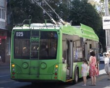 Новий графік руху транспорту в Житомирській області