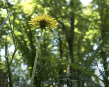 Прогноз погоди в Україні