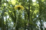 Прогноз погоди в Україні