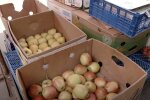 Дефицит продуктов в Сумской области