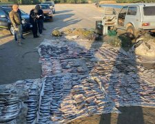 Майже два кілометри браконьєрських сіток: у Сулінському заказнику вилучили пастку для риби
