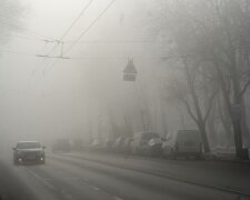 туман, погода